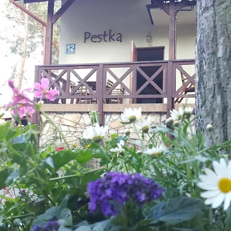Pestka 롯지