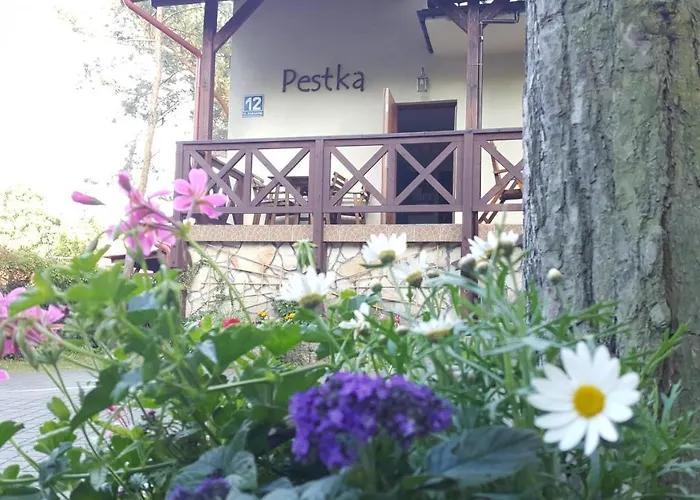 Pestka Jaktstuga